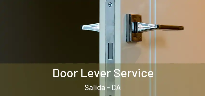  Door Lever Service Salida - CA