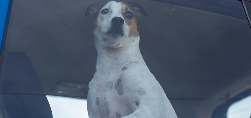 Car Lockout Solutions in Salida, California